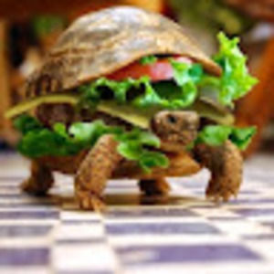 Meet your Posher, Jazmine